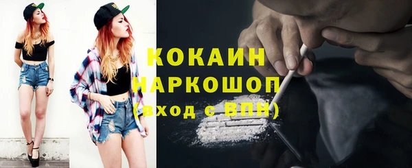 шишки Вяземский