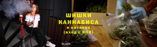стафф Вязьма