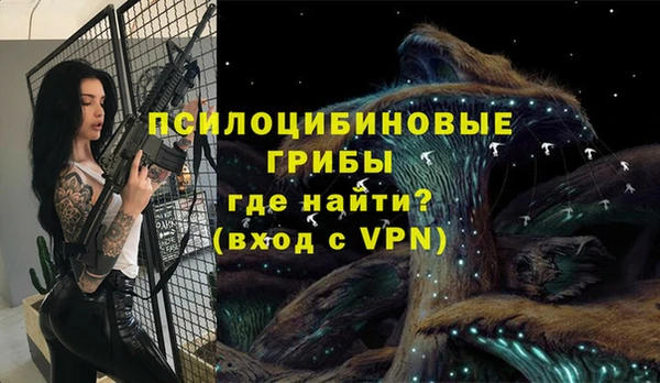 стафф Вязьма