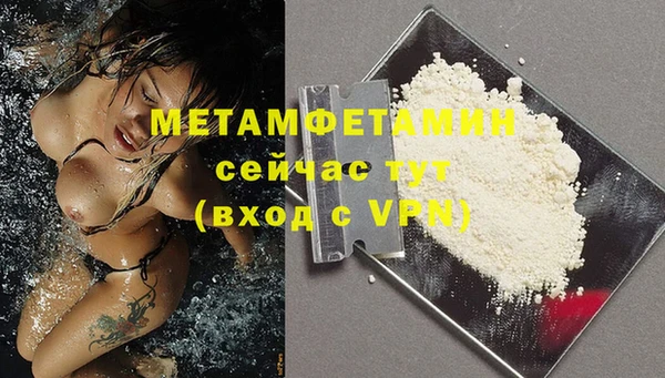 стафф Вязьма