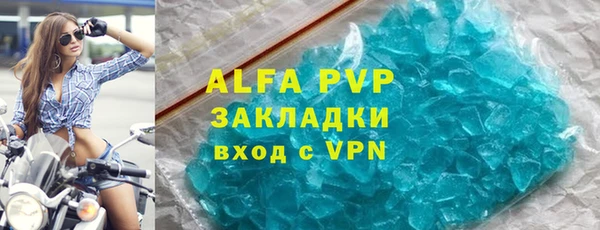 стафф Вязьма