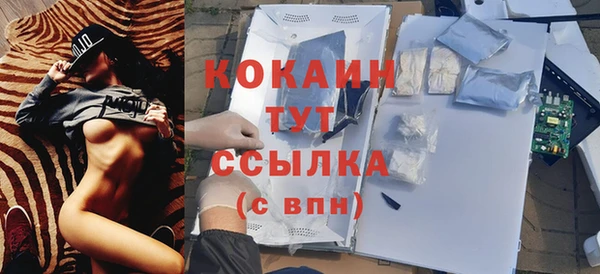 шишки Вяземский