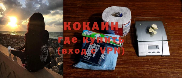 шишки Вяземский