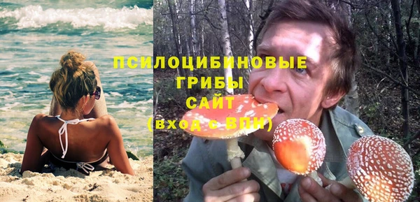 эйфоретик Строитель