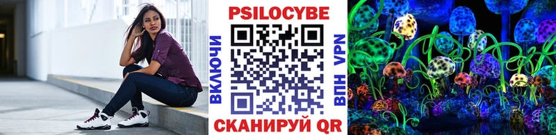 Псилоцибиновые грибы Cubensis  купить закладку  blacksprut   Плёс 